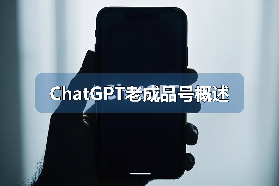 ChatGPT老成品号概述